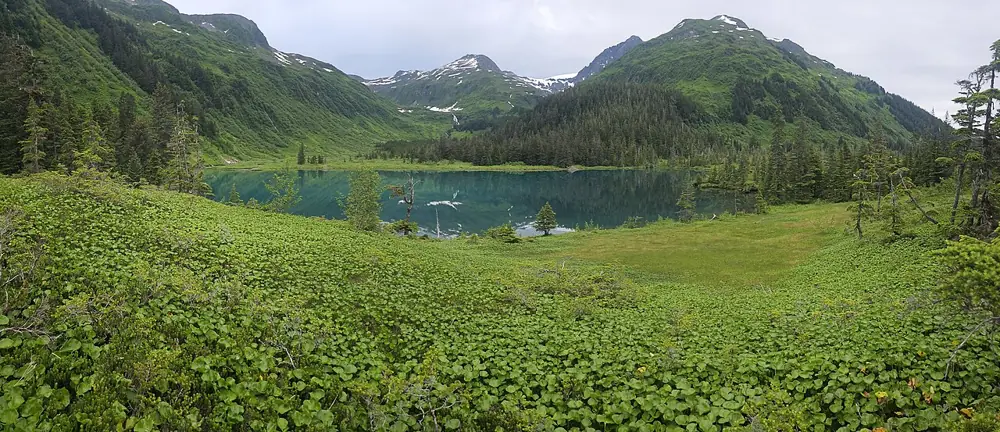 Photo taken in Chugach National Forest