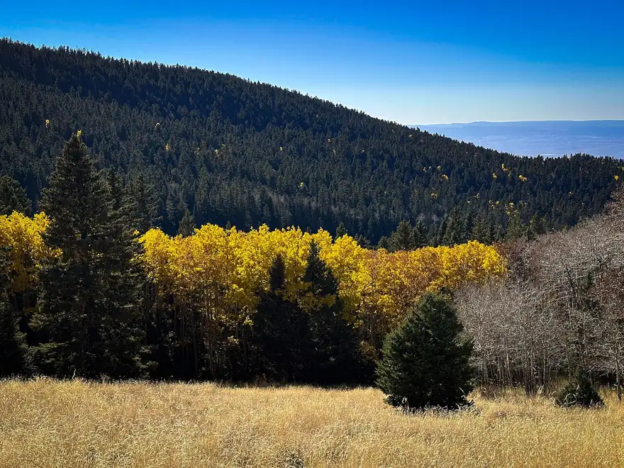 Photo taken in Cibola National Forest