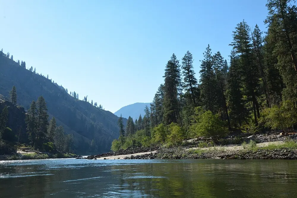 Photo taken in Clearwater National Forest