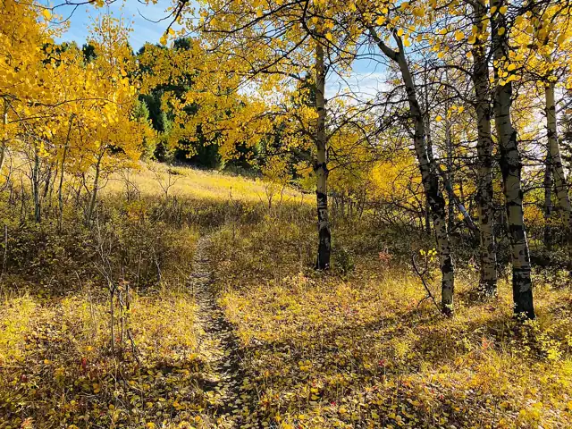 Photo taken in Custer National Forest