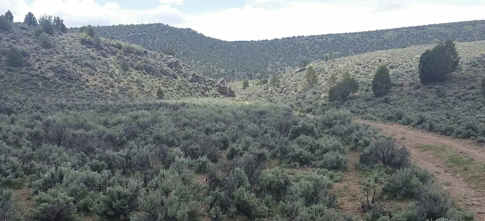 North Hills Wild Horse Territory Credit U.S. Forest Service