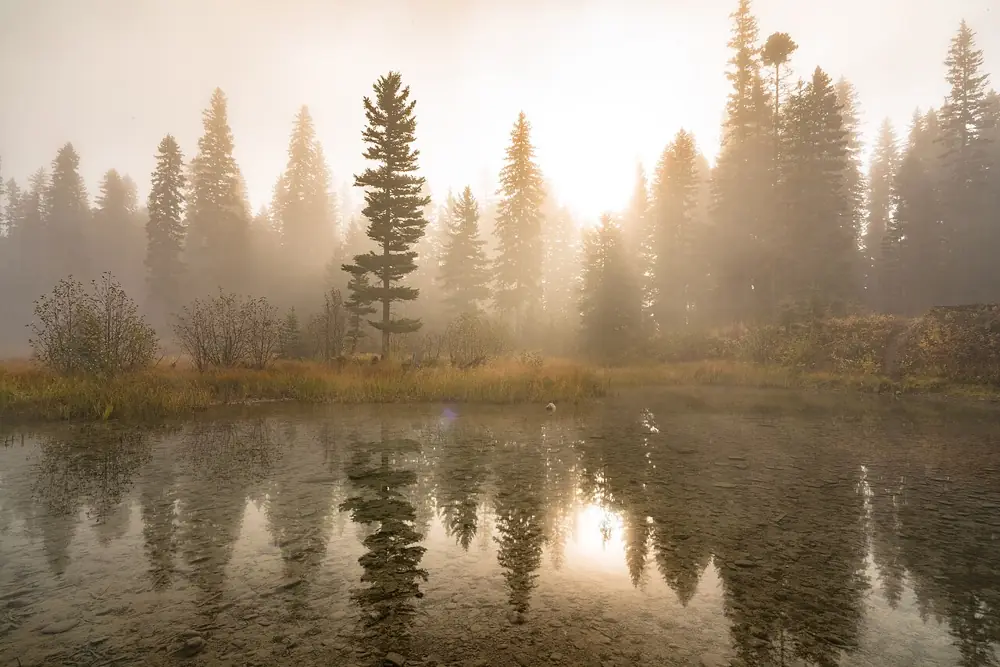 Photo taken in Flathead National Forest