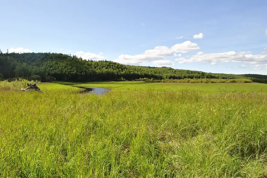 The Innoko Wilderness of Innoko National Wildlife Refuge USFWS Photo