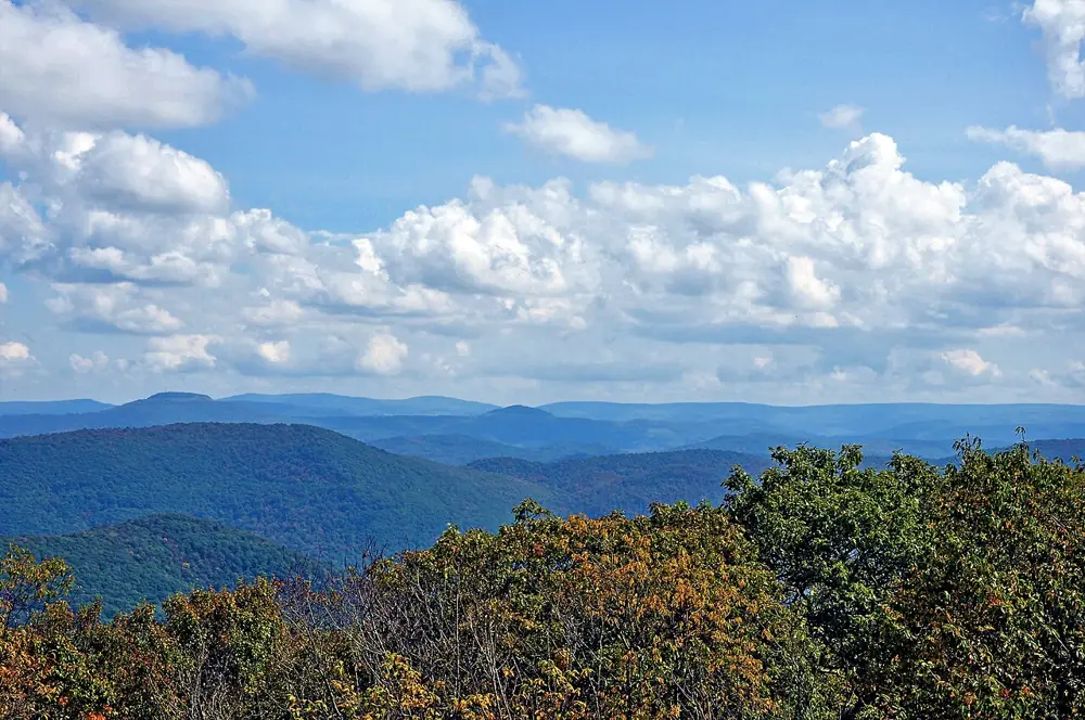 Photo taken in Monongahela National Forest