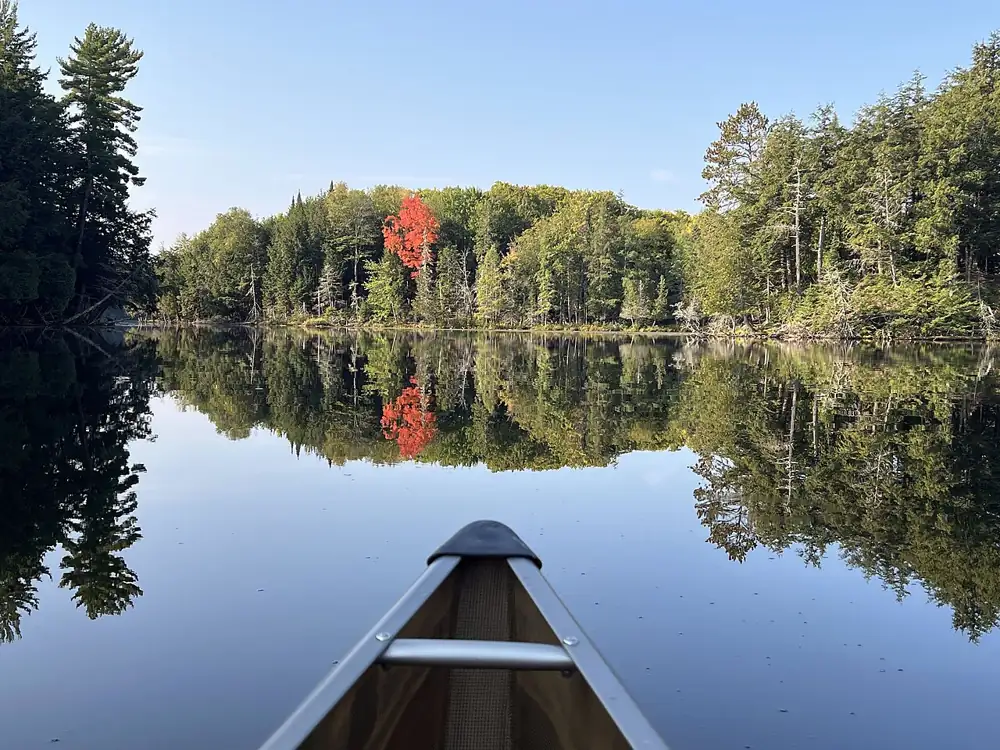 Read maple in front of the bow of the canoe on Crooked Lake in Sylvania Wilderness. USFS photo by Lee Willaert taken September 13, 2024