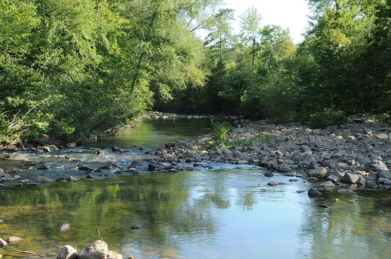 A river runs through the Ouachita National Forest in McCurtain County, Oklahoma on August 11, 2009. USDA photo by Alice Welch