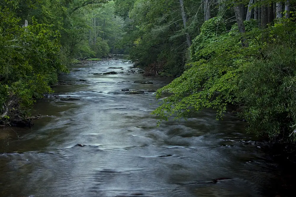 A morning river scene in the Davidson River Campground, Pisgah National Forest, NC, July 29, 2017. (USDA Photo by Lance Cheung)