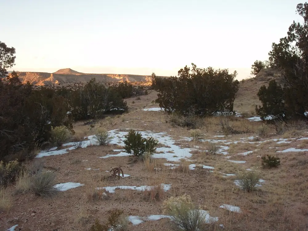 Photo taken in Santa Fe National Forest