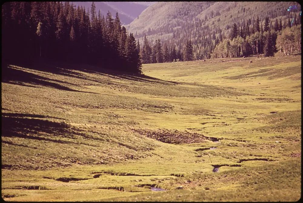 Photo taken in Uncompahgre National Forest